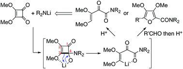 Graphical abstract: A new mode of cyclobutenedione ring opening for the synthesis of 2-oxobut-3-enamides and tetrasubstituted furans