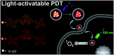 Graphical abstract: A light-activatable photosensitizer for photodynamic therapy based on a diarylethene derivative