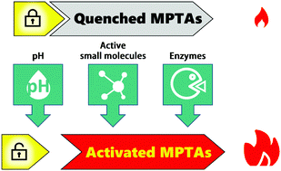 Graphical abstract: Stimuli-activated molecular photothermal agents for cancer therapy