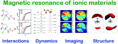 Graphical abstract: Nuclear magnetic resonance characterisation of ionic liquids and organic ionic plastic crystals: common approaches and recent advances