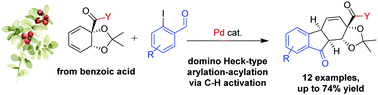 Graphical abstract: Palladium-catalyzed stereoselective domino arylation–acylation: an entry to chiral tetrahydrofluorenone scaffolds