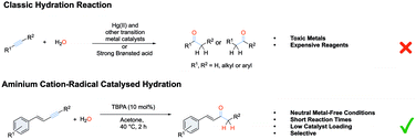Graphical abstract: Aminium cation-radical catalysed selective hydration of (E)-aryl enynes