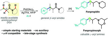 Graphical abstract: Pd-catalysed β-selective C(sp3)–H arylation of simple amides