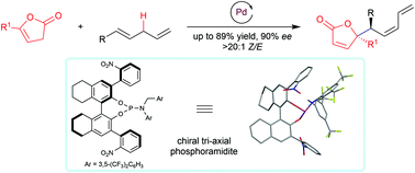 Graphical abstract: Access to chiral γ-butenolides via palladium-catalyzed asymmetric allylic C–H alkylation of 1,4-dienes