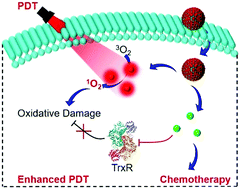 Graphical abstract: Self-delivery nanomedicine for chemotherapy sensitized photodynamic therapy