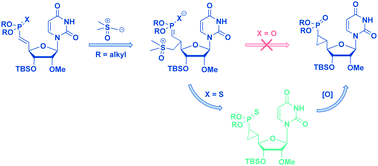 Graphical abstract: Synthesis of a novel cyclopropyl phosphonate nucleotide as a phosphate mimic