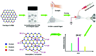 Graphical abstract: h-FBN assisted negative ion paper spray for the sensitive detection of small molecules