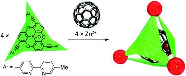 Graphical abstract: Synthesis of a chiral metallo-capsule composed of concave molecules and chirogenesis upon fullerene binding