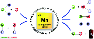 Graphical abstract: Advancements in multifunctional manganese complexes for catalytic hydrogen transfer reactions