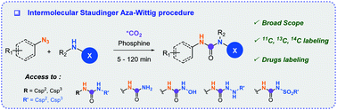 Graphical abstract: A general procedure for carbon isotope labeling of linear urea derivatives with carbon dioxide