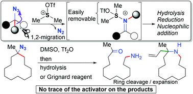 Graphical abstract: Sulfonium ion-promoted traceless Schmidt reaction of alkyl azides
