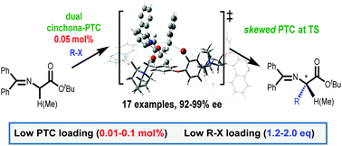 Graphical abstract: Counter-rotatable dual cinchona quinuclidinium salts and their phase transfer catalysis in enantioselective alkylation of glycine imines