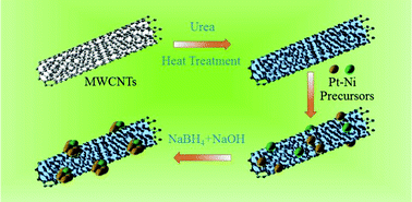 Graphical abstract: Nitrogen-functionalized carbon nanotube-supported bimetallic PtNi nanoparticles for hydrogen generation from hydrous hydrazine