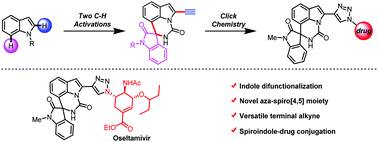 Graphical abstract: Construction of 2-alkynyl aza-spiro[4,5]indole scaffolds via sequential C–H activations for modular click chemistry libraries