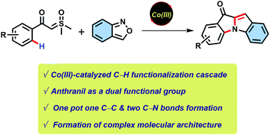 Graphical abstract: Cp*Co(iii)-catalyzed C–H amination/annulation cascade of sulfoxonium ylides with anthranils for the synthesis of indoloindolones