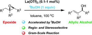 Graphical abstract: Proton-accelerated Lewis acid catalysis for stereo- and regioselective isomerization of epoxides to allylic alcohols