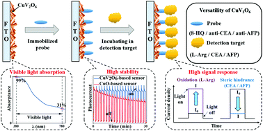 Graphical abstract: Self-passivated CuV2O6 as a universal photoelectrode material for reliable and accurate photoelectrochemical sensing