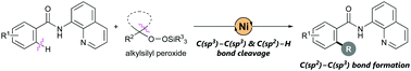 Graphical abstract: Ni-Catalyzed C(sp2)–H alkylation of N-quinolylbenzamides using alkylsilyl peroxides as structurally diverse alkyl sources