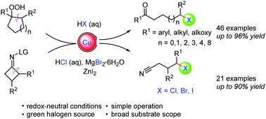 Graphical abstract: Copper-catalyzed radical ring-opening halogenation with HX
