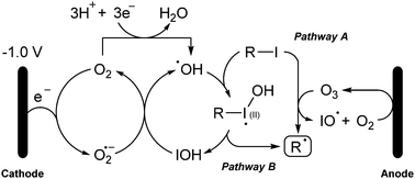 Graphical abstract: Mechanistic studies of reactive oxygen species mediated electrochemical radical reactions of alkyl iodides