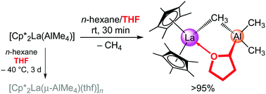 Graphical abstract: Rare-earth-metallocene alkylaluminates trigger distinct tetrahydrofuran activation