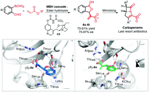 Graphical abstract: Design and enantioselective synthesis of 3-(α-acrylic acid) benzoxaboroles to combat carbapenemase resistance