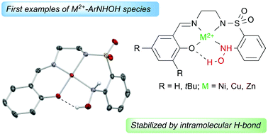 Graphical abstract: Intramolecular H-bond stabilization of a primary hydroxylamine in salen-type metal complexes