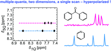 Graphical abstract: Ultrafast 2D 1H–1H NMR spectroscopy of DNP-hyperpolarised substrates for the analysis of mixtures