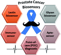 Graphical abstract: Glycosylated biomarker sensors: advancements in prostate cancer diagnosis