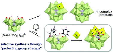 Graphical abstract: Synthesis of a phosphomolybdate with a tetranuclear vanadium core by installing vanadium atoms in a lacunary template using the protecting group strategy
