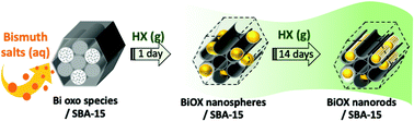 Graphical abstract: Formation of BiOX (X = Cl and Br) in a mesoporous silica by the infiltration of Bi salts and the subsequent reaction with HX vapor