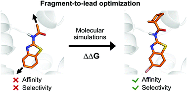 Graphical abstract: Fragment-based design of selective GPCR ligands guided by free energy simulations