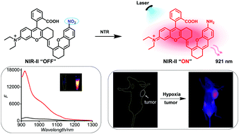Graphical abstract: Sensitive imaging of tumors using a nitroreductase-activated fluorescence probe in the NIR-II window