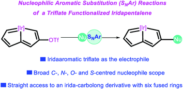 Graphical abstract: Carbolong chemistry: nucleophilic aromatic substitution of a triflate functionalized iridapentalene