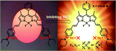 Graphical abstract: Improving the fluorescence brightness of distyryl Bodipys by inhibiting the twisted intramolecular charge transfer excited state