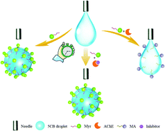 Graphical abstract: A pendant droplet-based sensor for the detection of acetylcholinesterase and its inhibitors