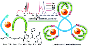 Graphical abstract: Self-assembly and luminescence of trinuclear lanthanide based supramolecular circular helicates