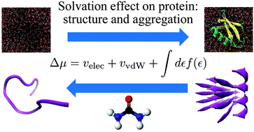 Graphical abstract: Solvation energetics of proteins and their aggregates analyzed by all-atom molecular dynamics simulations and the energy-representation theory of solvation