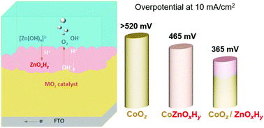 Graphical abstract: Improved water oxidation with metal oxide catalysts via a regenerable and redox-inactive ZnOxHy overlayer