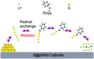 Graphical abstract: An organodiselenide containing electrolyte enables sulfurized polyacrylonitrile cathodes with fast redox kinetics in Li–S batteries