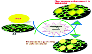 Graphical abstract: Graphene oxide-controlled neutral versus cationic form of a red emitting dye: enhancement of fluorescence by graphene oxide