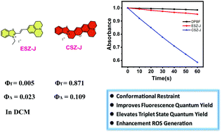 Graphical abstract: A photosensitizer with conformational restriction for enhanced photodynamic therapy