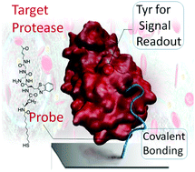 Graphical abstract: “Covalent biosensing” enables a one-step, reagent-less, low-cost and highly robust assay of SARS-CoV-2