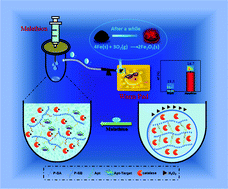 Graphical abstract: A portable thermal detection method based on the target responsive hydrogel mediated self-heating of a warming pad