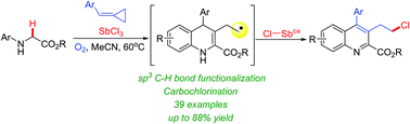 Graphical abstract: SbCl3 initiated conjunctive C–H bond functionalization and carbochlorination between glycine esters and methylenecyclopropanes (MCPs)