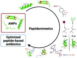 Graphical abstract: Advances on chemically modified antimicrobial peptides for generating peptide antibiotics