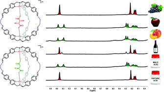 Graphical abstract: Straight from the bottle! Wine and juice dicarboxylic acids as templates for supramolecular cage self-assembly