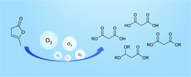 Graphical abstract: Ozonolysis of α-angelica lactone: a renewable route to malonates