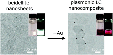 Graphical abstract: Gold–clay nanocomposite colloids with liquid-crystalline and plasmonic properties
