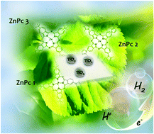 Graphical abstract: Imidazole substituted Zinc(ii) phthalocyanines for co-catalyst-free photoelectrochemical and photocatalytic hydrogen evolution: influence of the anchoring group